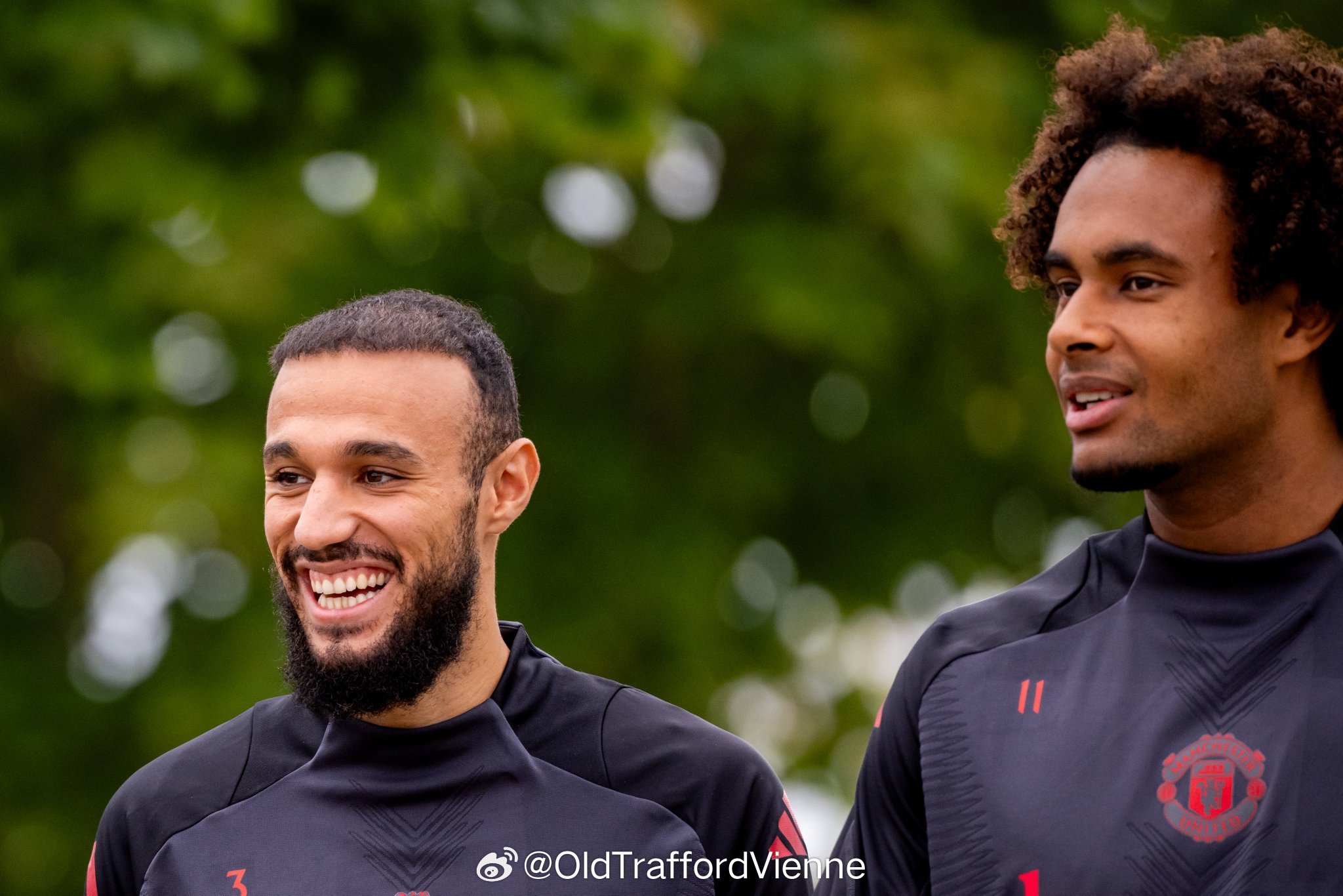 欧篮联赛程比分排名 欧篮联赛程比分排名